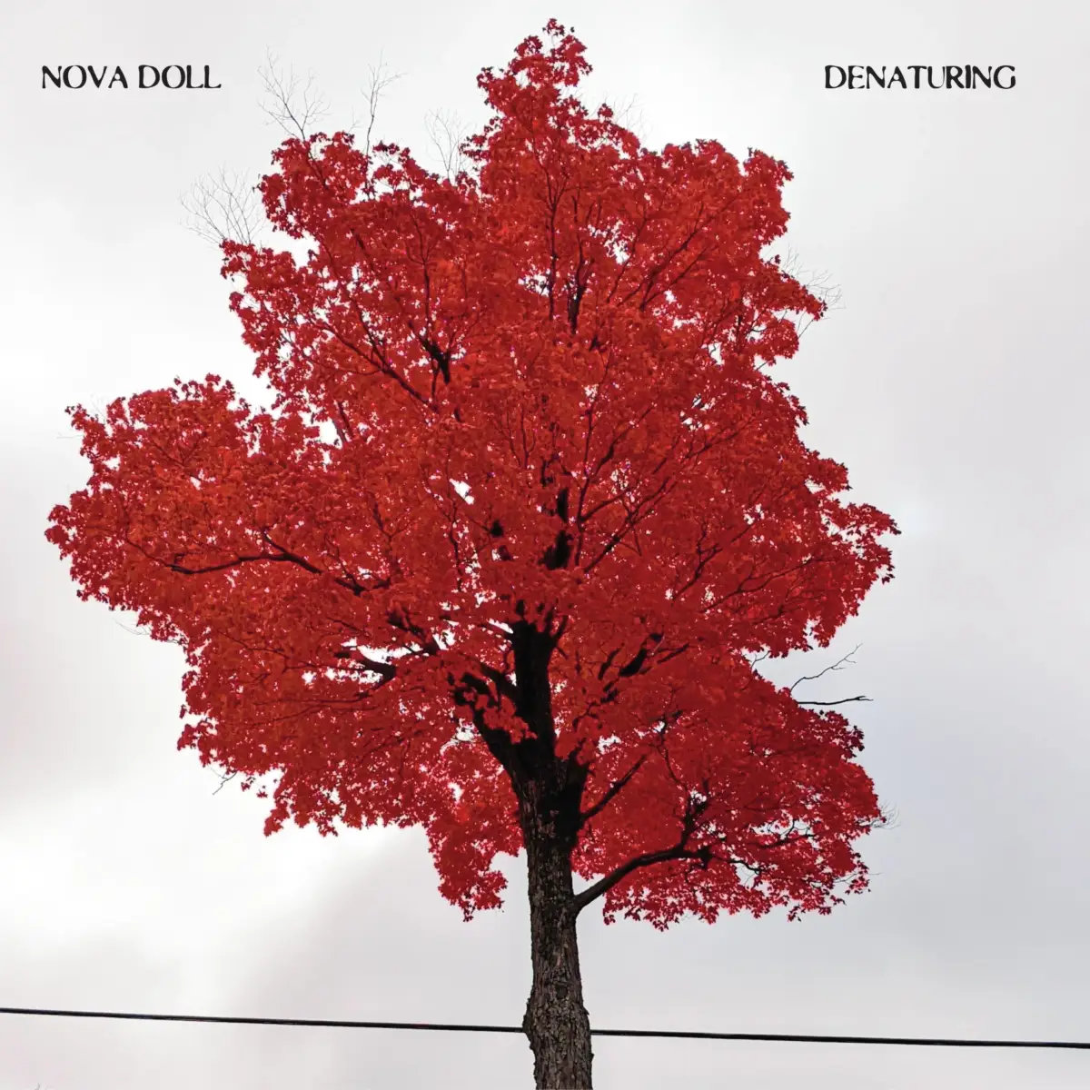 Nova Doll - Denaturing album cover