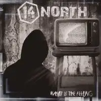 14 North - What is the Feeling album cover