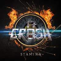 17 Crash: Stamina album cover