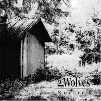 2 Wolves - Shelter album cover