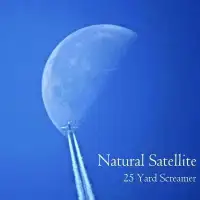25 Yard Screamer - Natural Satellite album cover