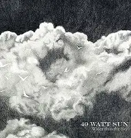 40 Watt Sun - Wider Than The Sky album cover