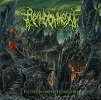 Abandonment - Focused To Imminent Desolation album cover