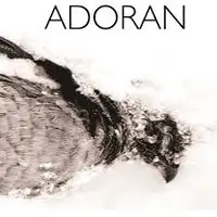 Adoran - Adoran album cover