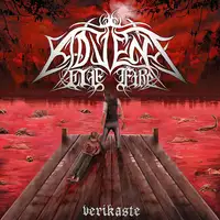 Advent of Fire - Verikaste album cover
