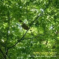 Afforested - Before the Beech Mast Begins to Fall album cover