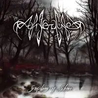 Afterlife - Symphony Of Silence album cover