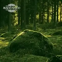 Albino Rhino - Albino Rhino album cover