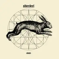 Alkerdeel - Slonk album cover