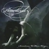 Amederia - Sometimes We Have Wings (Reissue) album cover