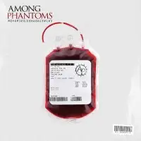 Among Phantoms - Memories/Catastrophes album cover