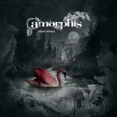 Amorphis - Silent Waters album cover