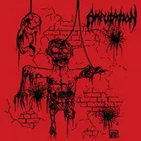 Amputation - Slaughtered in the Arms of God album cover