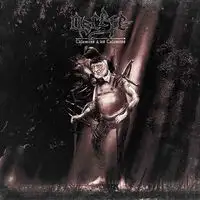 Ascète - Calamites & les Calamités album cover