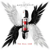 Audiotopsy - The Real Now album cover