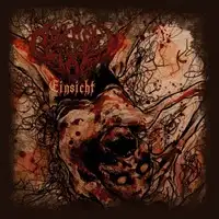 Aussichtslos - Einsicht album cover