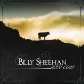 Billy Sheehan - Holy Cow album cover