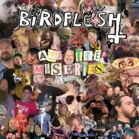 Birdflesh - All The Miseries album cover