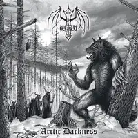 Black Beast - Arctic Darkness album cover