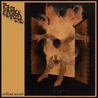 Black Curse - Endless Wound album cover