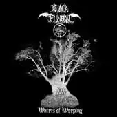 Black Funeral - Waters Of Weeping album cover