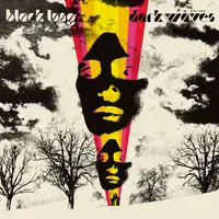 Black Lung - Dark Waves album cover