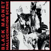 Black Magnet - Hallucination Scene album cover