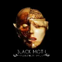 Black Moth - Anatomical Venus album cover