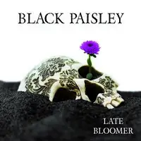 Black Paisley - Late Bloomer album cover