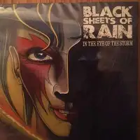 Black Sheets of Rain - In the Eye of the Storm album cover