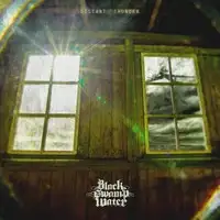 Black Swamp Water - Distant Thunder album cover