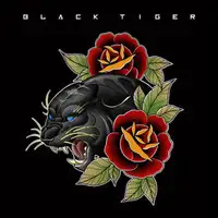 Black Tiger - Black Tiger album cover