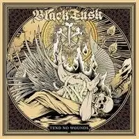 Black Tusk - Tend No Wounds album cover