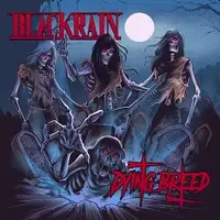 BlackRain - Dying Breed album cover