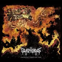 Blasphemous - Emerging Through The Fire album cover