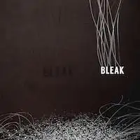 Bleak - Bleak album cover