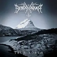 Borknagar - True North album cover