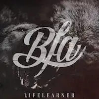 Born From Ashes - Lifelearner album cover