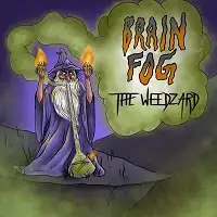 Brain Fog - The Weedzard album cover