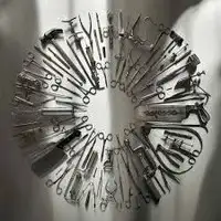 Carcass - Surgical Steel album cover