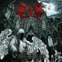 Carnage of Children - Darkness Within album cover