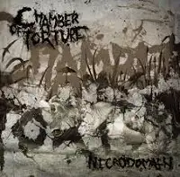 Chamber of Torture - Necrodomain album cover