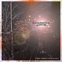 Charming Timur - A Brief Moment of Existence album cover