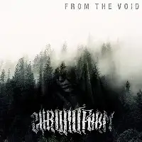 Chronoform - From The Void album cover