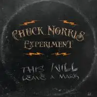 Chuck Norris Experiment - This Will Leave a Mark album cover