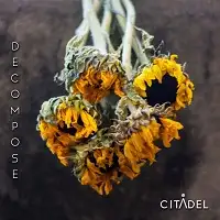 Citadel - Decompose album cover