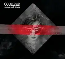 Cochise - Swans and Lions album cover