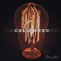 Collected - Say When album cover