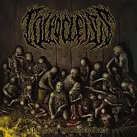 Colpocleisis - Elegant Degradation album cover