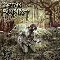 Dark Forest - The Awakening album cover